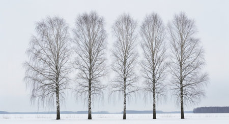 Beautiful Nature Photography Wallpaper.の写真素材