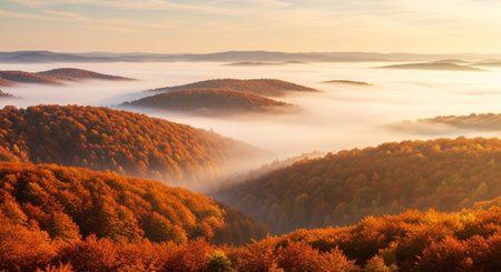 Beautiful Nature Photography Wallpaper.の写真素材