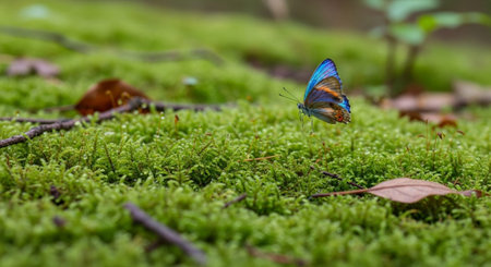 Beautiful Nature Photography Wallpaper.の写真素材