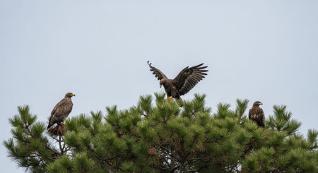 Beautiful Nature Photography Wallpaper.の写真素材