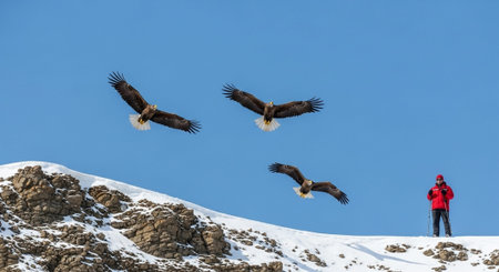 Beautiful Nature Photography Wallpaper.の写真素材