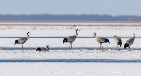 Beautiful Nature Photography Wallpaper.の写真素材