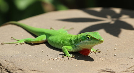 Beautiful Nature Photography Wallpaper.の写真素材