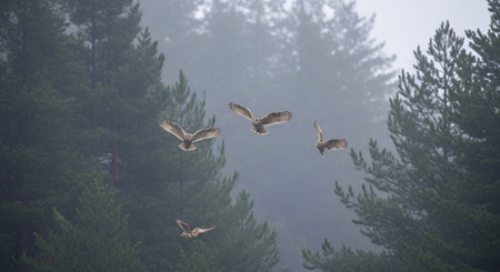 Beautiful Nature Photography Wallpaper.の写真素材