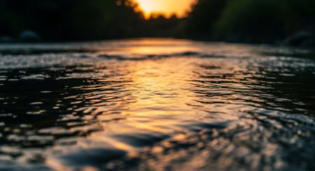 Beautiful Nature Photography Wallpaper.