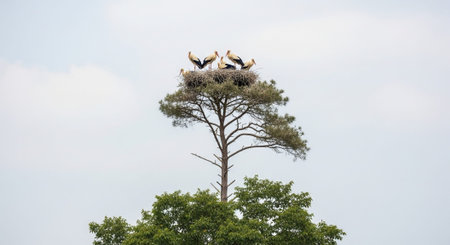 Beautiful Nature Photography Wallpaper.の写真素材