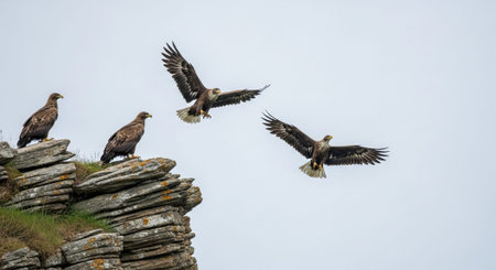 Beautiful Nature Photography Wallpaper.の写真素材