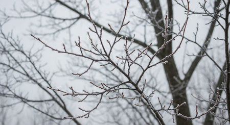 Beautiful Nature Photography Wallpaper.の写真素材