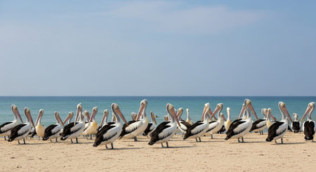 Beautiful Nature Photography Wallpaper.の写真素材