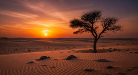 Beautiful Nature Photography Wallpaper.の写真素材