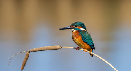 Beautiful Nature Photography Wallpaper.