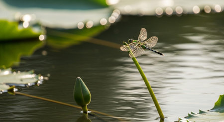 Beautiful Nature Photography Wallpaper.