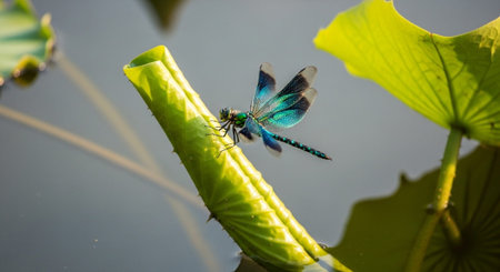 Beautiful Nature Photography Wallpaper.の写真素材