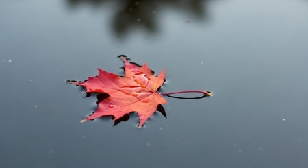 Beautiful Nature Photography Wallpaper.の写真素材