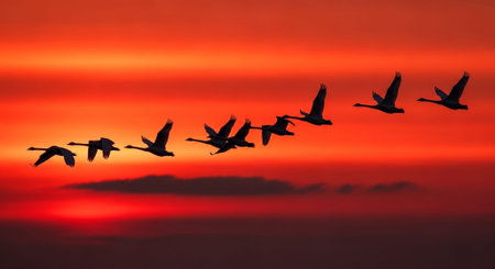 Beautiful Nature Photography Wallpaper.
