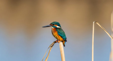Beautiful Nature Photography Wallpaper.