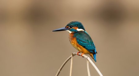 Beautiful Nature Photography Wallpaper.