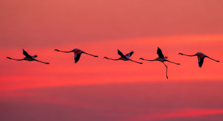 Beautiful Nature Photography Wallpaper.の写真素材