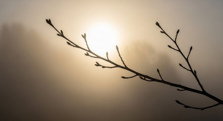 Beautiful Nature Photography Wallpaper.の写真素材