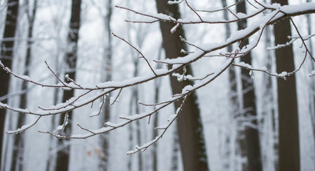 Beautiful Nature Photography Wallpaper.の写真素材