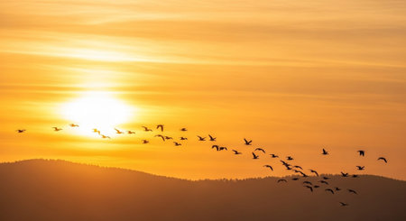 Beautiful Nature Photography Wallpaper.の写真素材