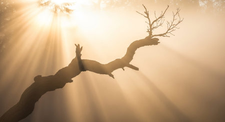 Beautiful Nature Photography Wallpaper.の写真素材