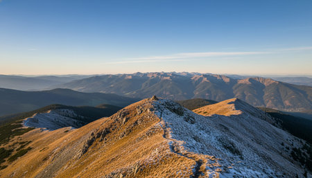 Natural Landscape Photography for Background Use