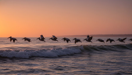 Natural Landscape Photography for Background Useの写真素材