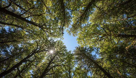 Natural Landscape Photography for Background Useの写真素材