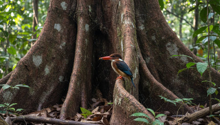 Wild Bird Photographyの写真素材