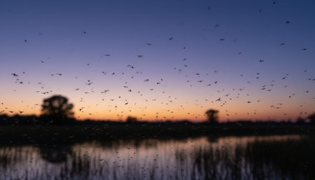 Insect wildlife photographyの写真素材