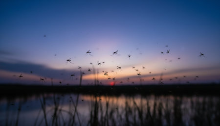 Insect wildlife photography