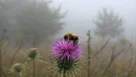 Insect wildlife photography