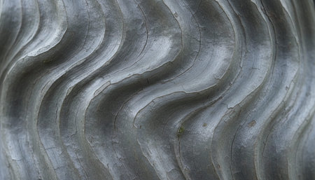 Tree plantation photographyの写真素材