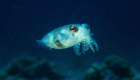 Wildlife Photography with Natural Backgroundの写真素材