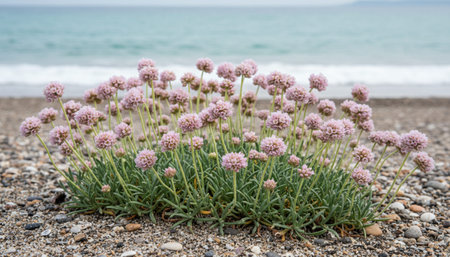Floral Nature Photography with Natural Background