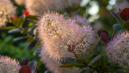 Floral Nature Photography with Natural Background