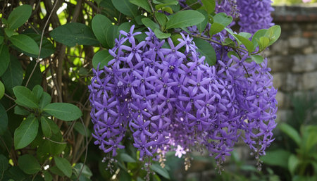 Floral Nature Photography with Natural Backgroundの写真素材