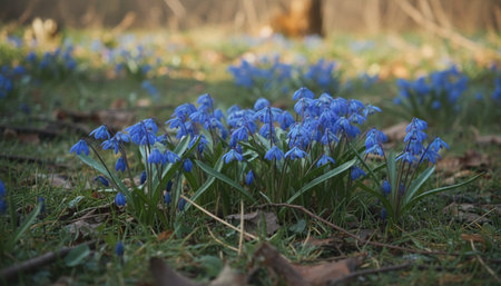 Floral Nature Photography with Natural Background