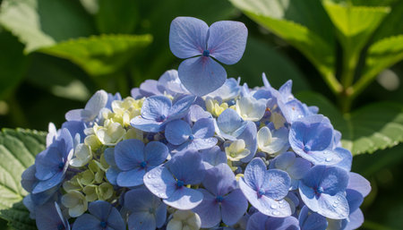Floral Nature Photography with Natural Background