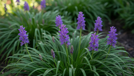 Floral Nature Photography with Natural Backgroundの写真素材