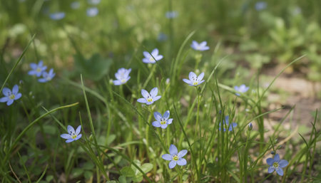 Floral Nature Photography with Natural Background