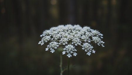 Floral Nature Photography with Natural Background