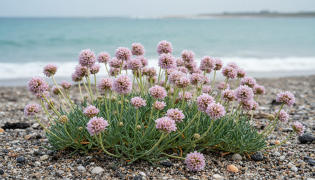 Floral Nature Photography with Natural Background
