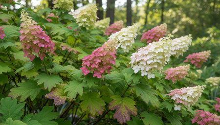 Floral Nature Photography with Natural Background