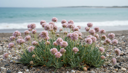 Floral Nature Photography with Natural Background