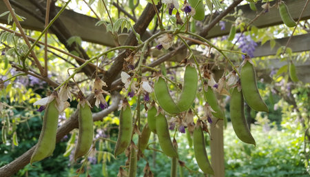 Beautiful Natural Environment Outdoor Photographyの写真素材