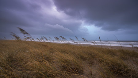 Beautiful Natural Environment Outdoor Photography