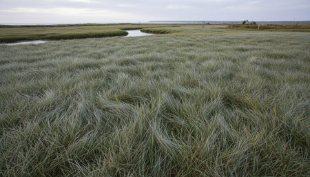 Beautiful Natural Environment Outdoor Photographyの写真素材