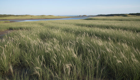 Beautiful Natural Environment Outdoor Photographyの写真素材